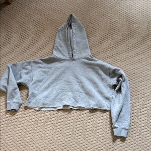 Urban Outfitters Light Gray Cropped Hoodie
Size M